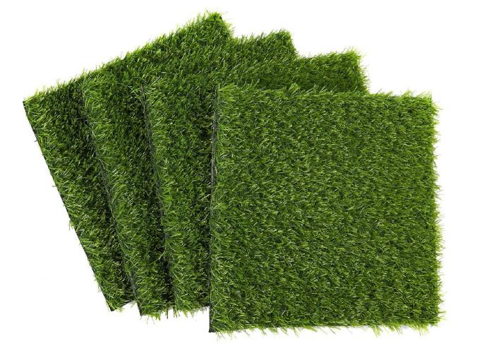 Grass Carpet 004