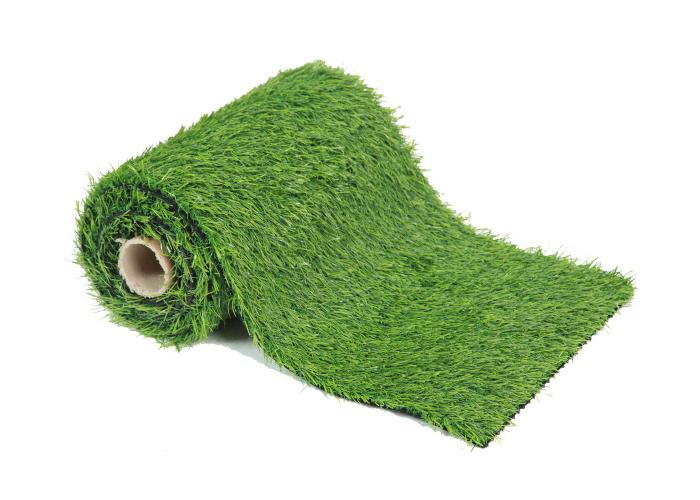 Grass Carpet 005