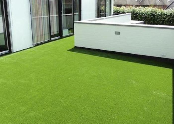 Grass Carpet 007